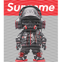 Brand Catalog-ZX 1052